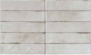 Oyster Mushroom 2.4"x10" Porcelain Tile Polished